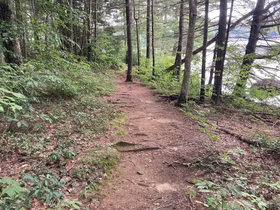 Beartown State Forest Campground and Beach in Great Barrington, MA | Berkshires Outside