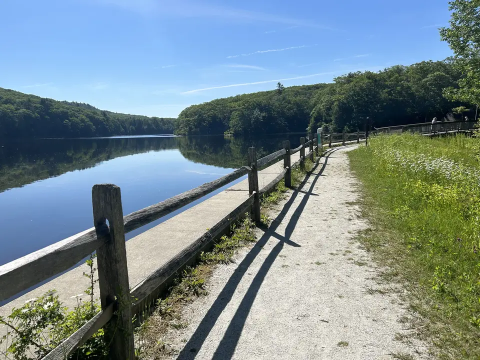 Beartown State Forest Campground and Beach in Great Barrington, MA | Berkshires Outside