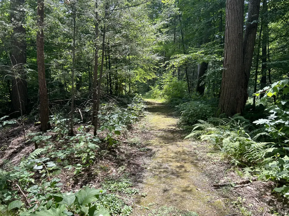 Chesterwood in Stockbridge, MA | Berkshires Outside