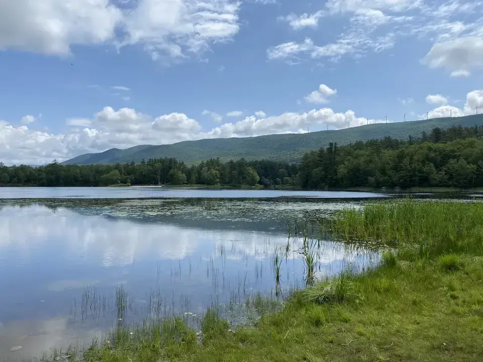 Clarksburg State Park in Clarksburg, MA | Berkshires Outside