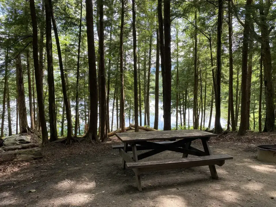 Clarksburg State Park in Clarksburg, MA | Berkshires Outside