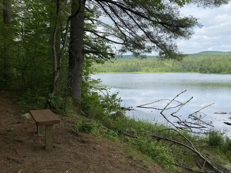 Clarksburg State Park in Clarksburg, MA | Berkshires Outside