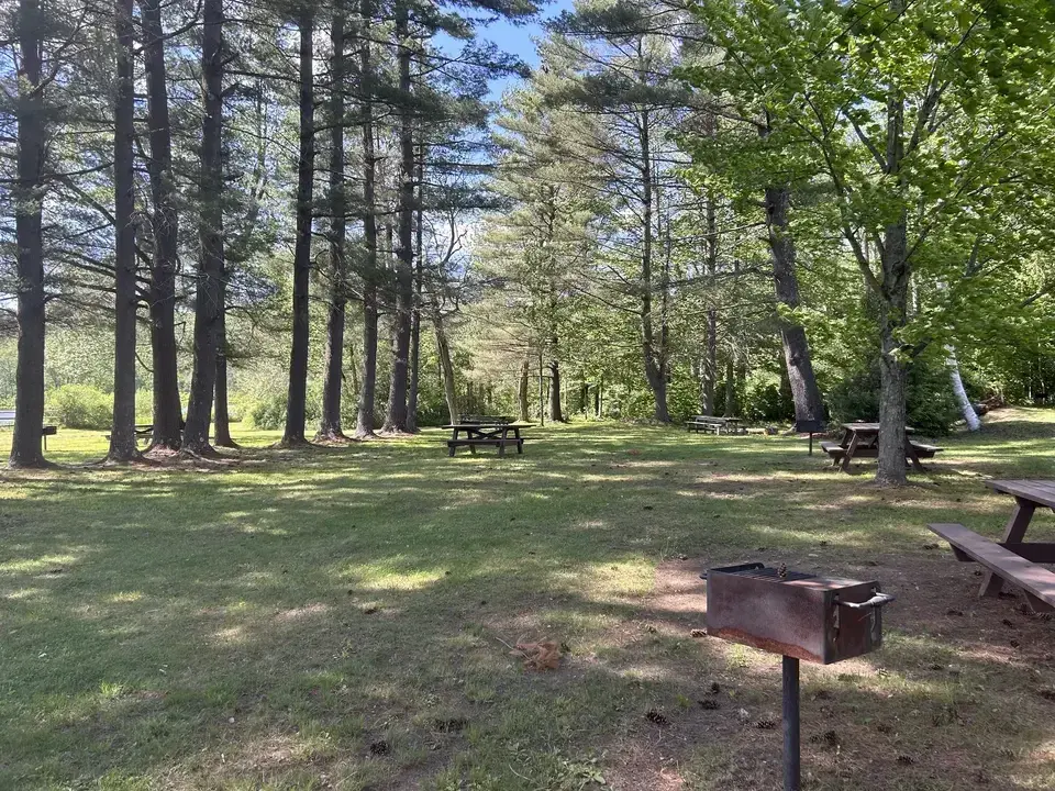 Clarksburg State Park in Clarksburg, MA | Berkshires Outside