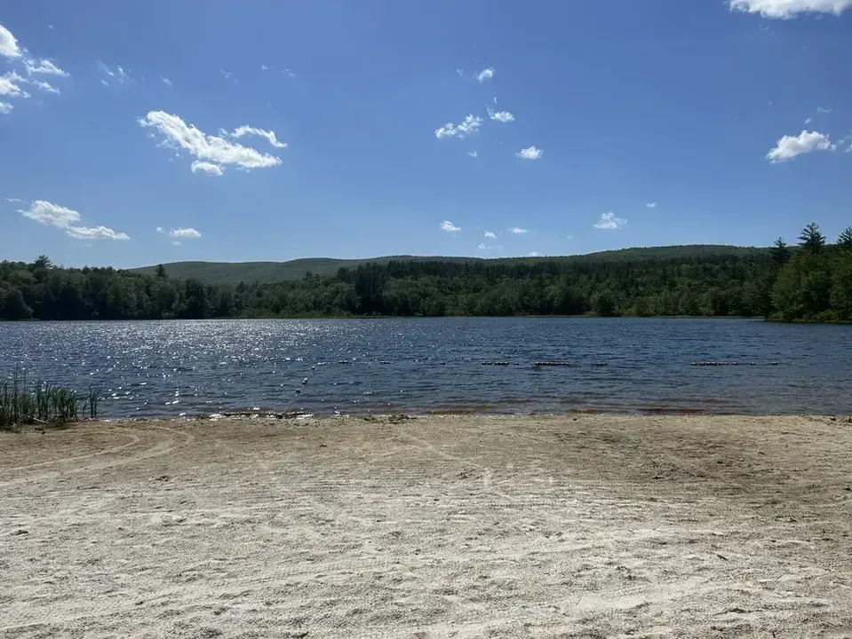 Clarksburg State Park in Clarksburg, MA | Berkshires Outside