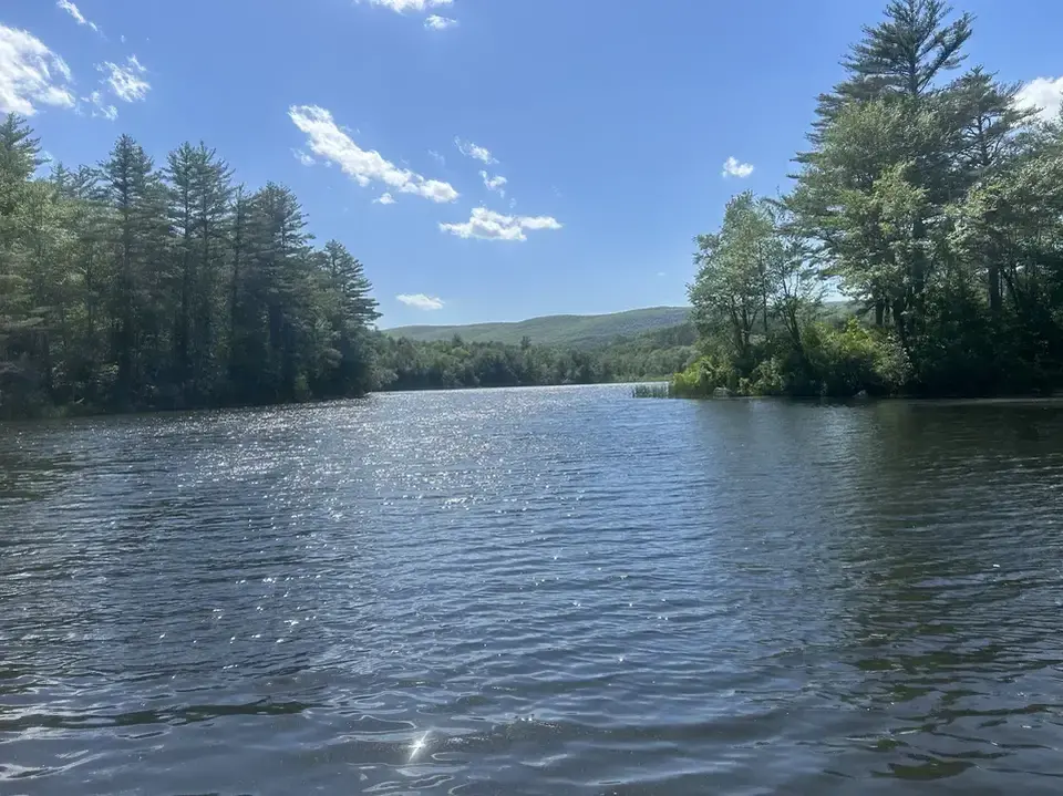 Clarksburg State Park in Clarksburg, MA | Berkshires Outside