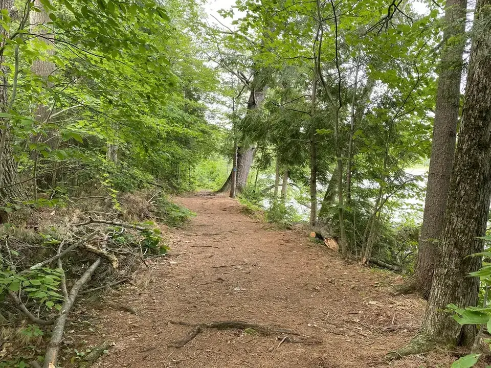 Clarksburg State Park in Clarksburg, MA | Berkshires Outside