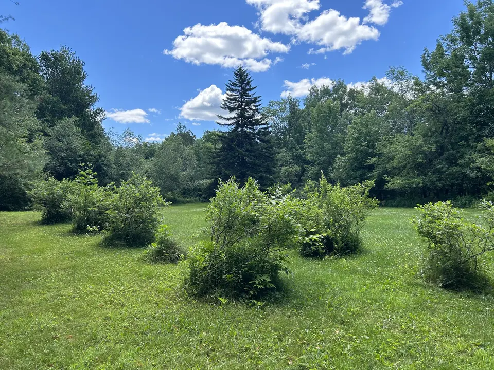 Dorothy Frances Rice Sanctuary for Wildlife in Peru, MA | Berkshires Outside