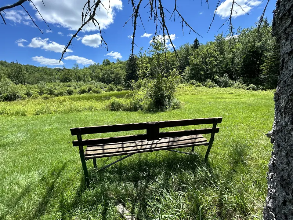 Dorothy Frances Rice Sanctuary for Wildlife in Peru, MA | Berkshires Outside