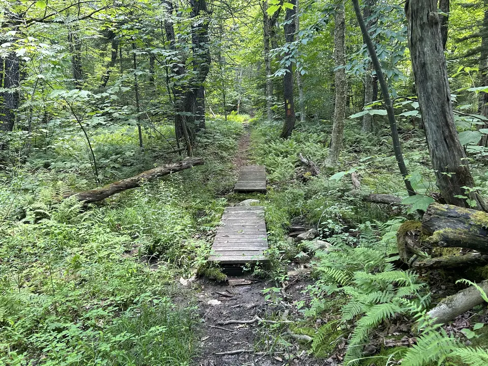 Dorothy Frances Rice Sanctuary for Wildlife in Peru, MA | Berkshires Outside