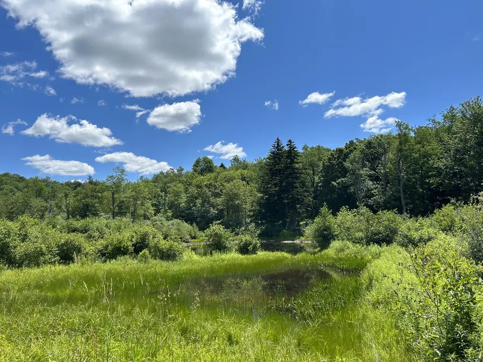 Dorothy Frances Rice Sanctuary for Wildlife in Peru, MA | Berkshires Outside