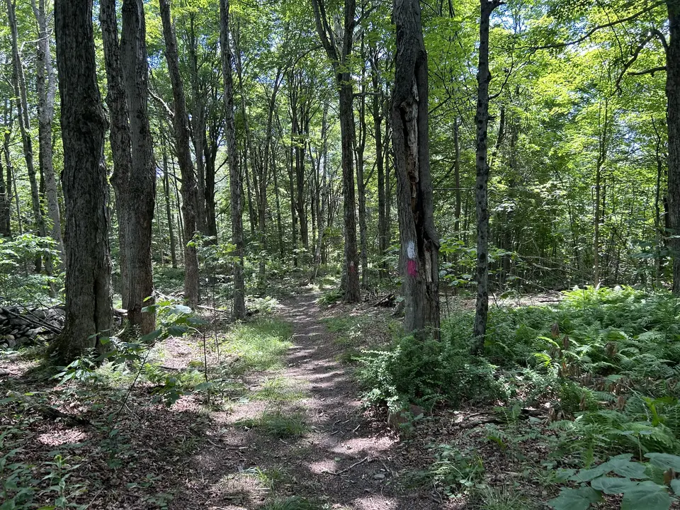 Dorothy Frances Rice Sanctuary for Wildlife in Peru, MA | Berkshires Outside