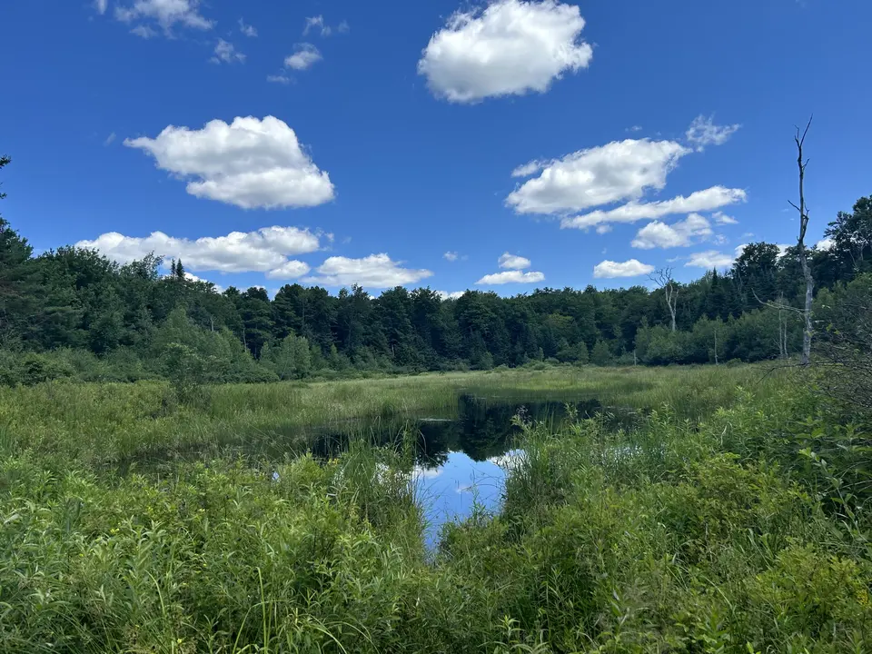 Dorothy Frances Rice Sanctuary for Wildlife in Peru, MA | Berkshires Outside