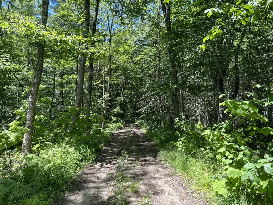 Garnet Hill Trail - Curtin Road in Peru, MA | Berkshires Outside