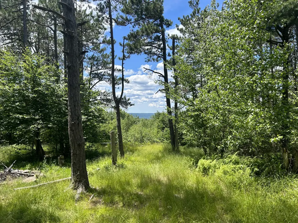 Garnet Hill Trail - Curtin Road in Peru, MA | Berkshires Outside