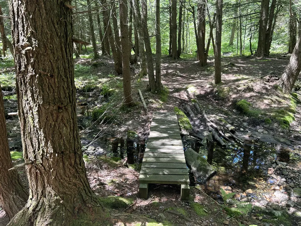 Garnet Hill Trail - Curtin Road in Peru, MA | Berkshires Outside