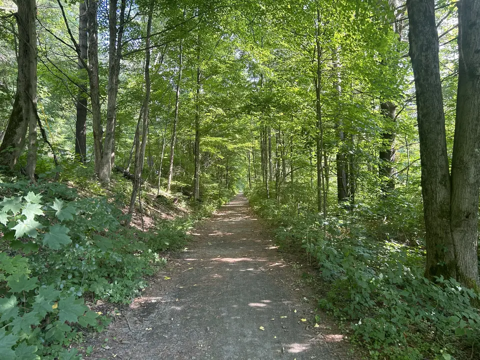 Housatonic Rail Trail in Great Barrington, MA | Berkshires Outside