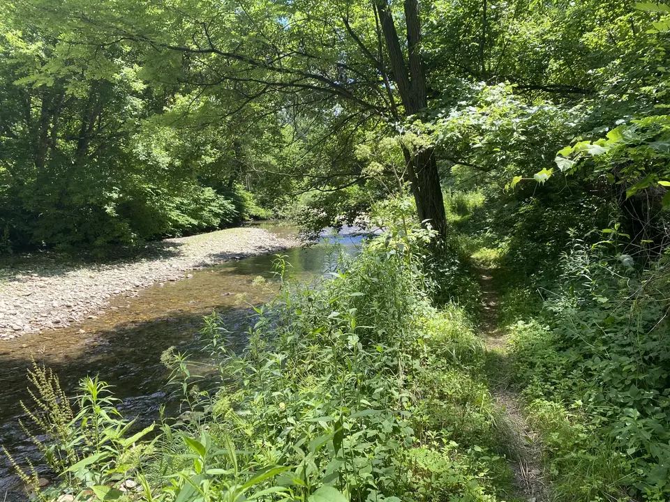 Lehovec Natural Area in Williamstown, MA | Berkshires Outside