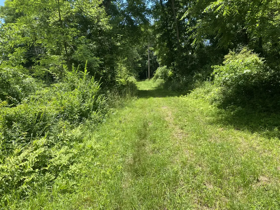 Lehovec Natural Area in Williamstown, MA | Berkshires Outside