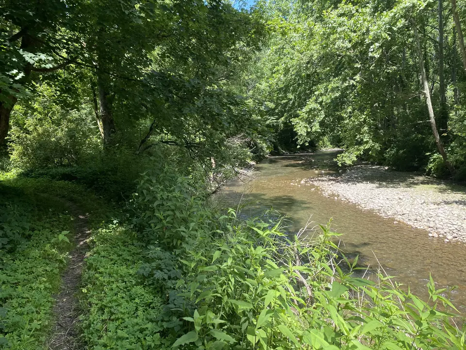 Lehovec Natural Area in Williamstown, MA | Berkshires Outside