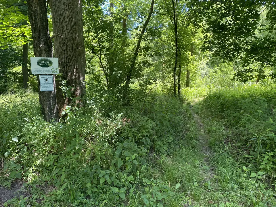 Lehovec Natural Area in Williamstown, MA | Berkshires Outside