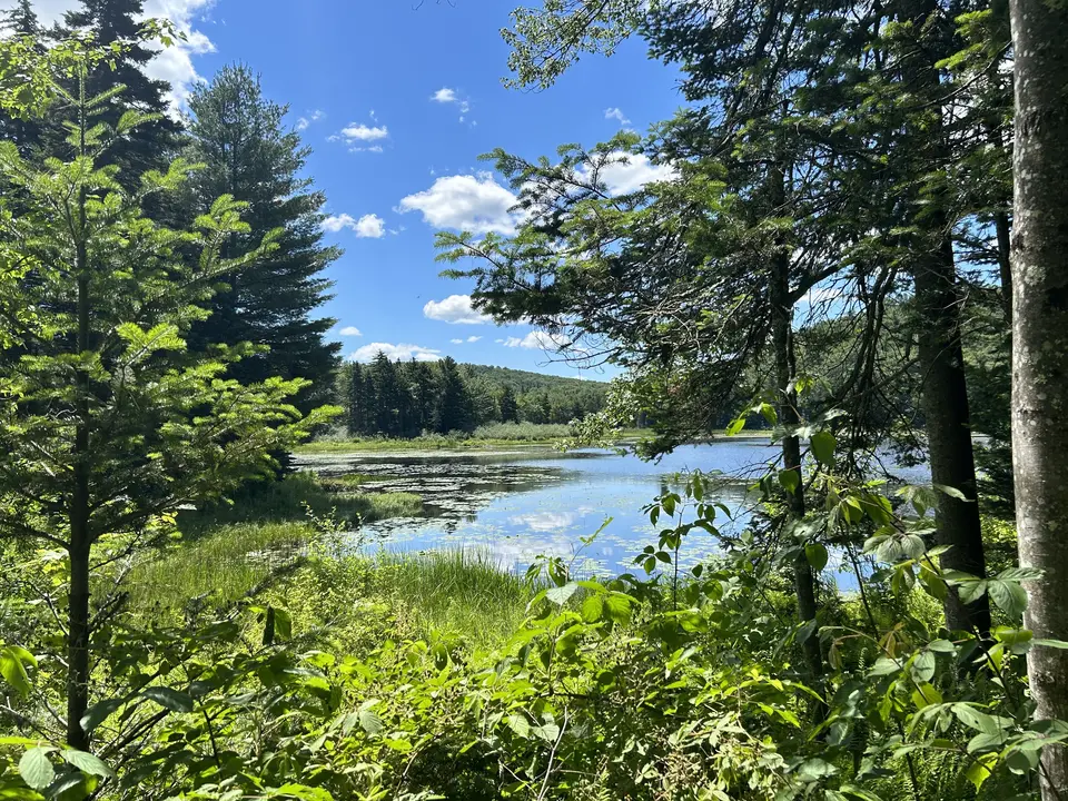 Tracy Pond WMA in Peru, MA | Berkshires Outside