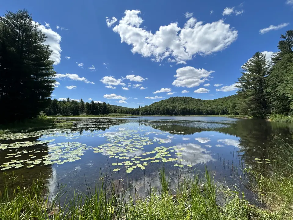 Tracy Pond WMA in Peru, MA | Berkshires Outside