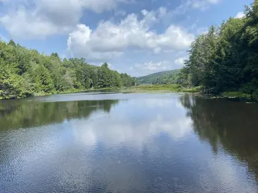 Coles Brook Preserve Trailhead, Washington, MA