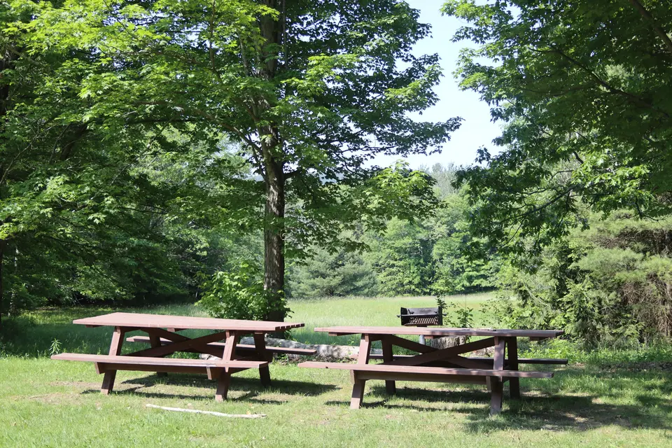 Picnic and barbeque area adjacent to the trailhead.