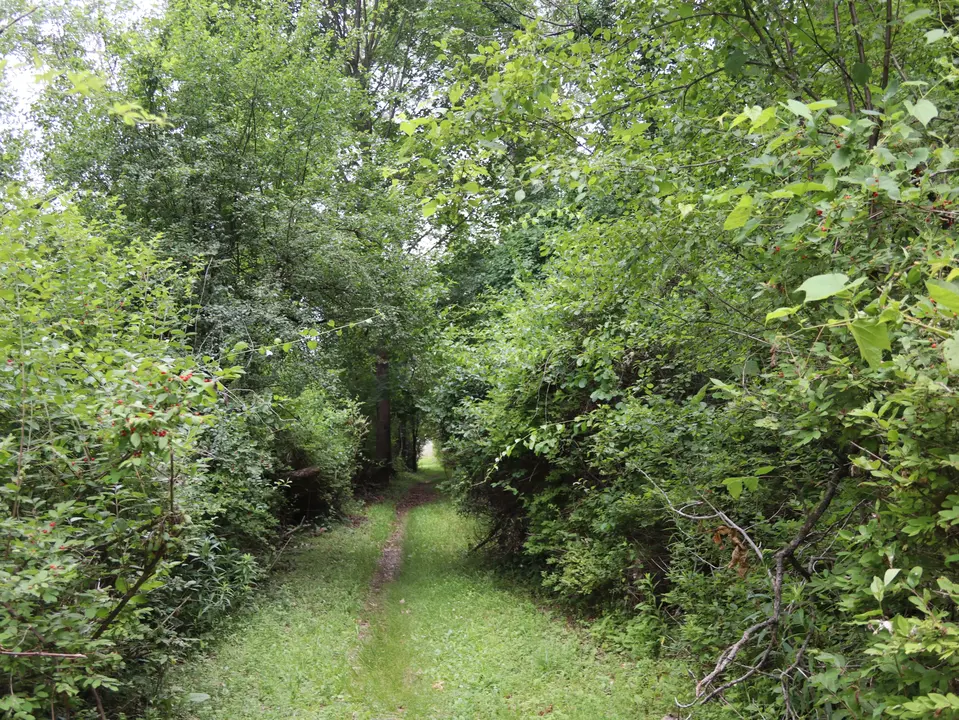 A short, grassy path connects the parking area to Cranberry Pond.