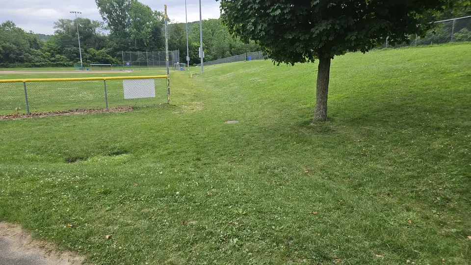 The grassy slope that leads to the baseball field.