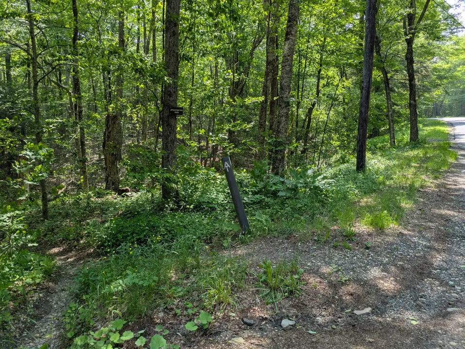 Entrance to the Appalachian Trail from the parking area on Grange Hall Road
