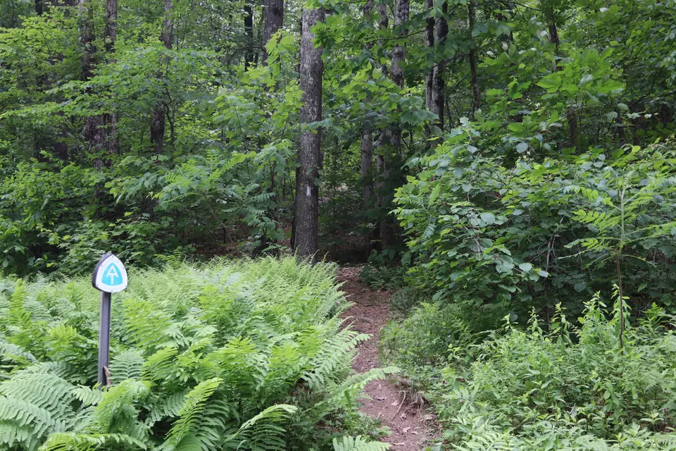 View of the Appalachian trail southbound from Home Road, which features a short acsent up June Mountain before flattening out.