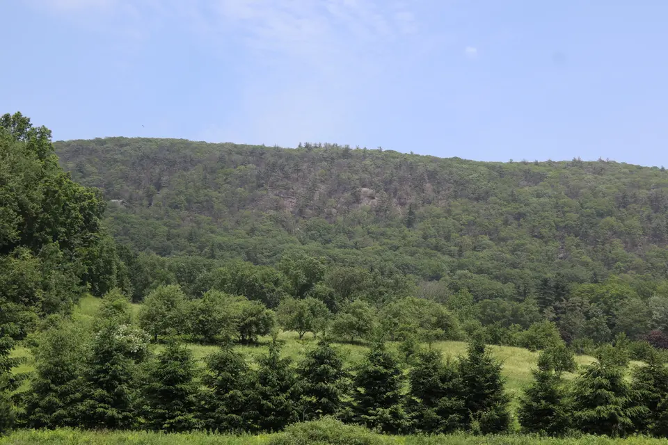 View of East Mountain from Home Road, just before the trail intersection. The Appalachian trail northbound from Home Road ascends this steep mountain.