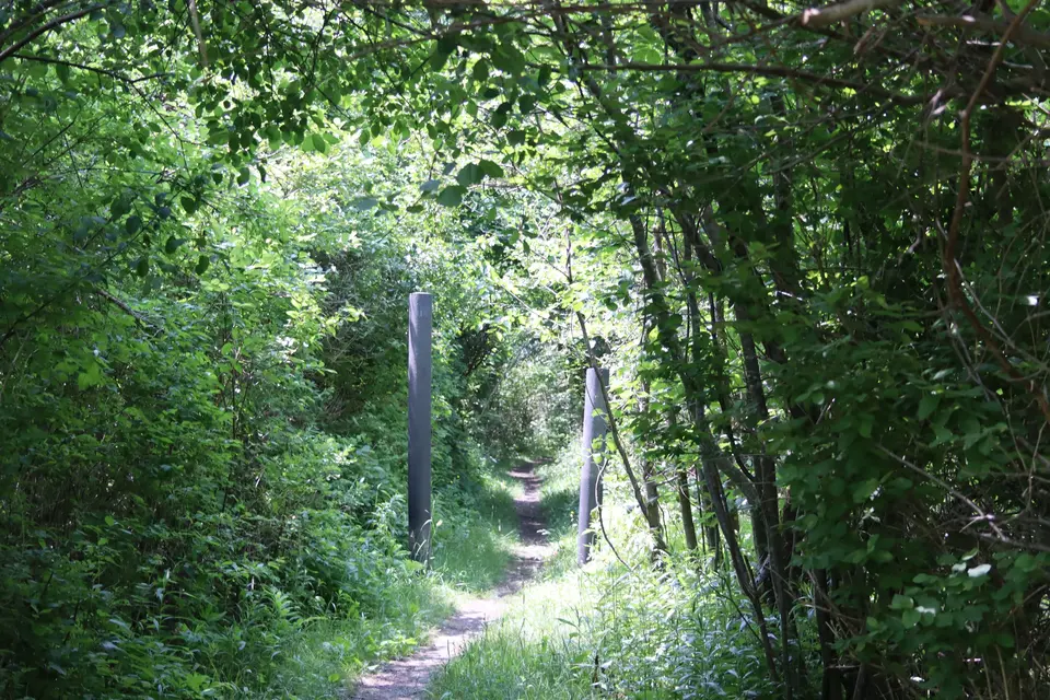 Flat, narrow section of the AT southbound a short distance from the parking area.