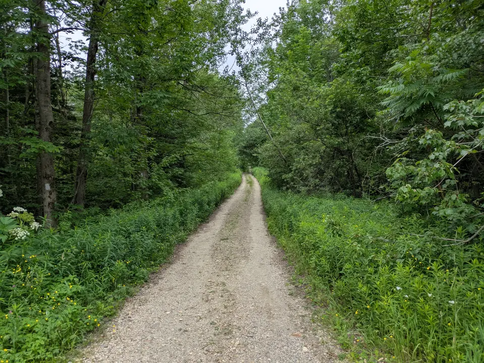 Trail entrance