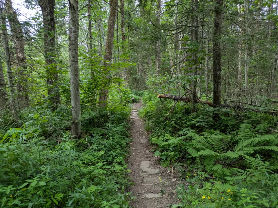Trail entrance