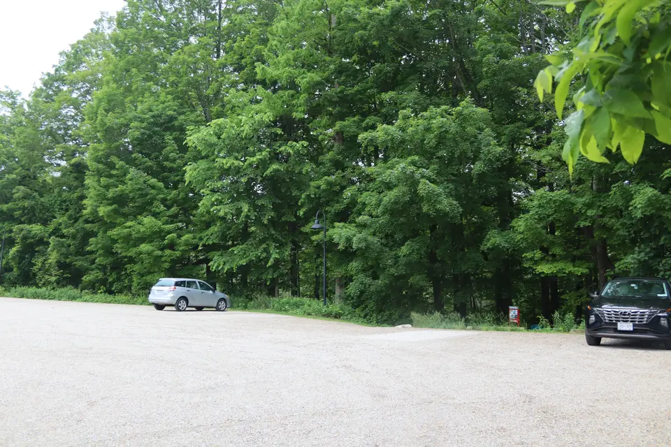 Parking lot behind the Arcadian Shop. Entrance to Kennedy Park can be seen in between the two cars.