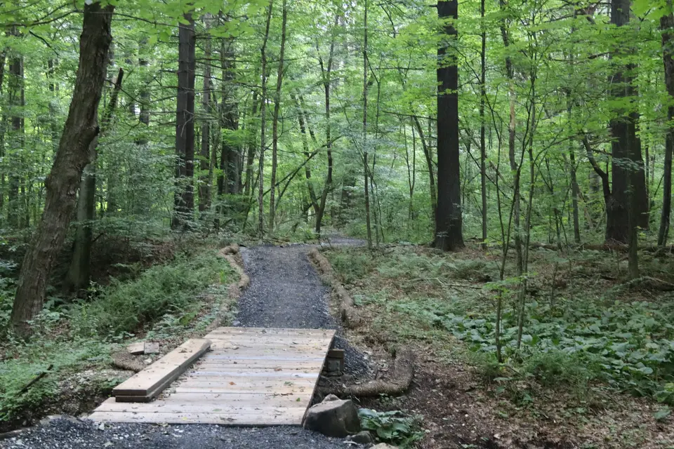 An accessible trail crosses a stream in Ashley Falls Woods.