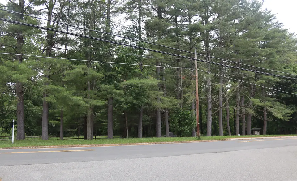 Entrance to the woods as seen from Ashley Falls Road.