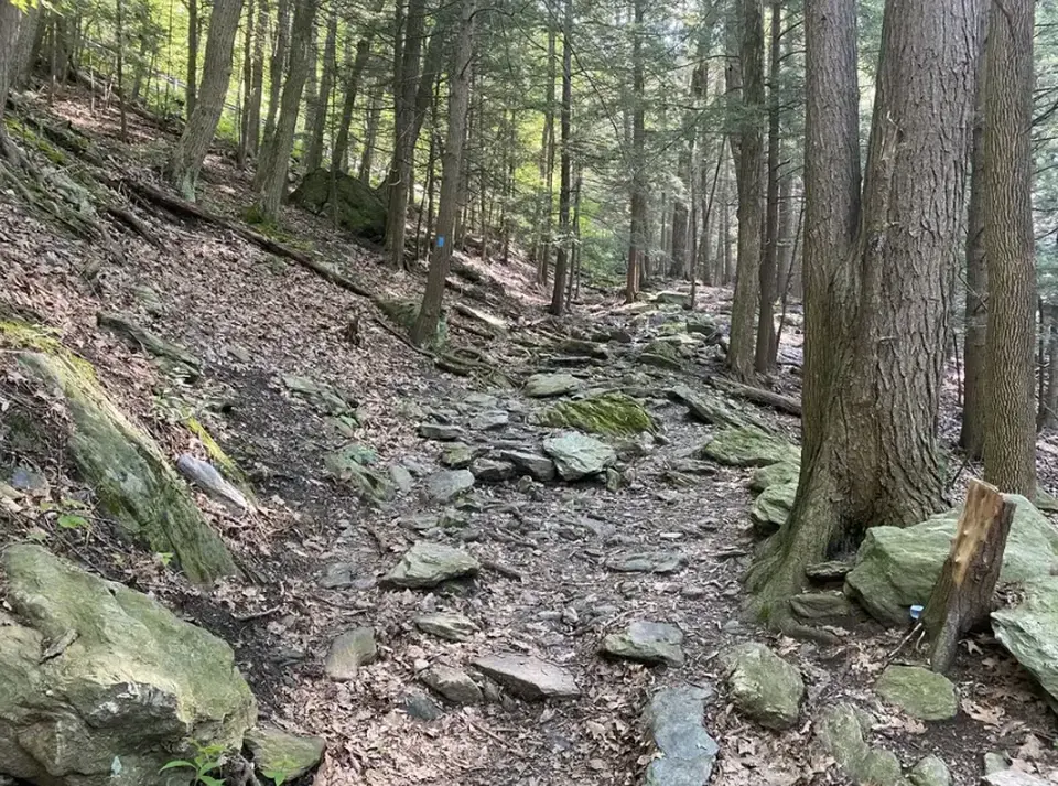 A rocky, moderately steep section of the Bash Bish Falls trail.