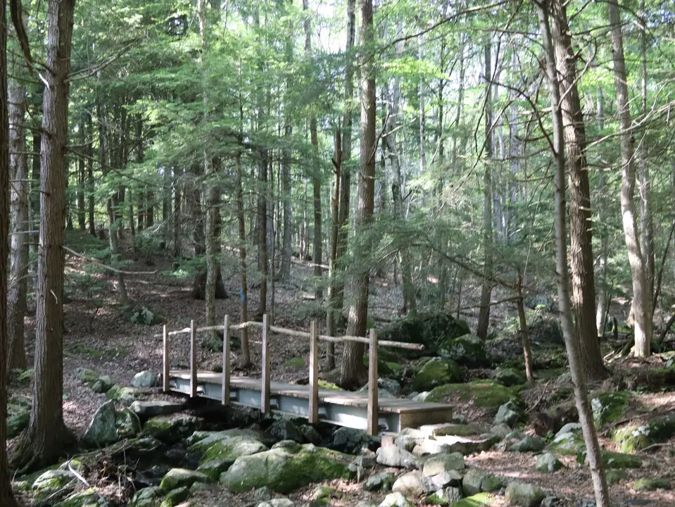 A bridge traverses over a stream on the Basin Pond trail.