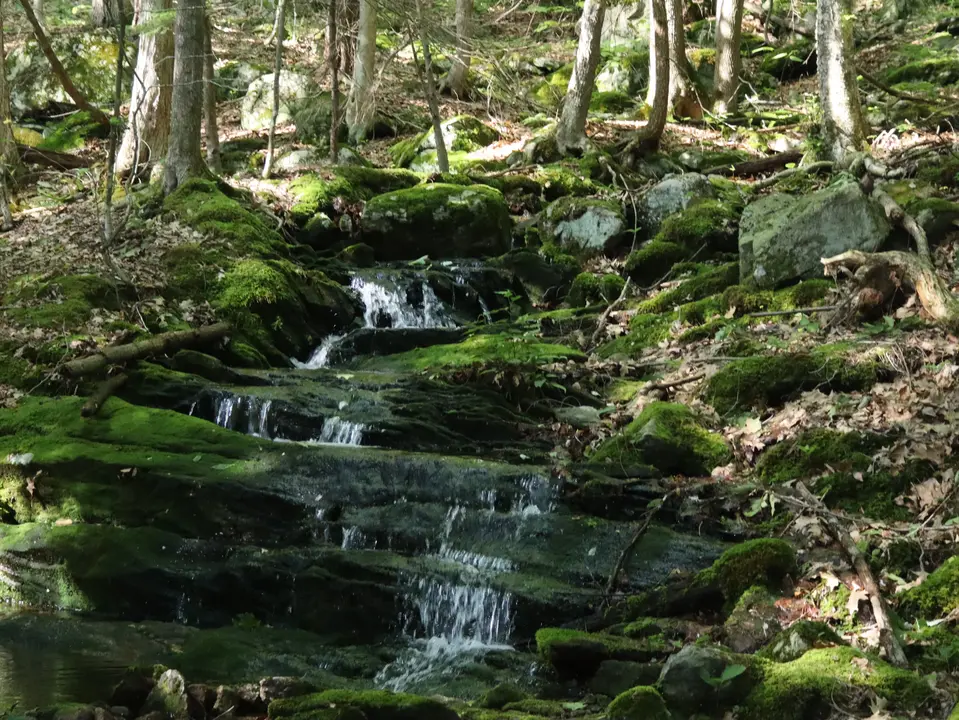 A stream crosses the Basin Pond trail.