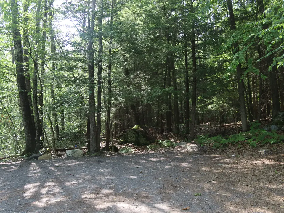 Parking area at the Basin Pond trailhead.