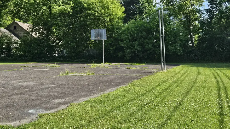 The tall grass and the not maintained basketball court.