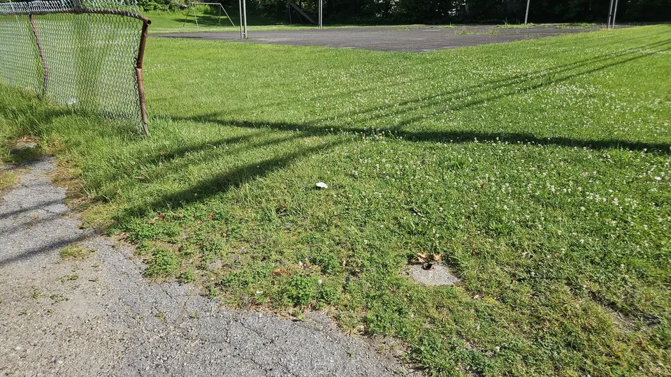 The tall grass and a patch of gravel that connects the grass to the road