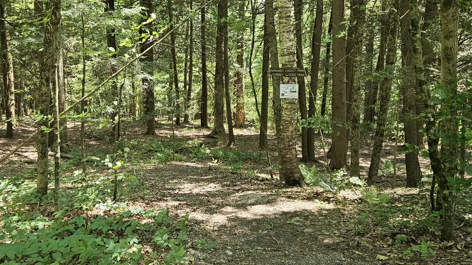 The trailhead