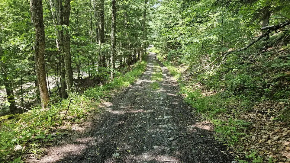 A section of the trail with stones and sticks