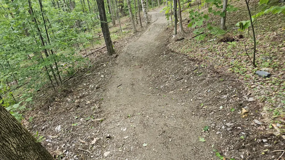 A section of the mountain bike trail, showing the 5' width