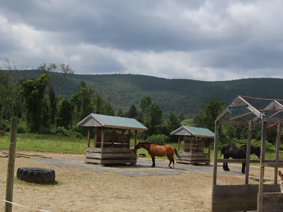 Blue Rider Stables in Egremont, MA | Berkshires Outside