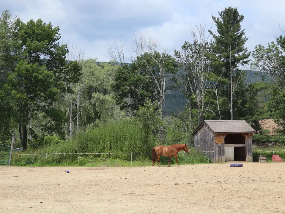 Blue Rider Stables in Egremont, MA | Berkshires Outside